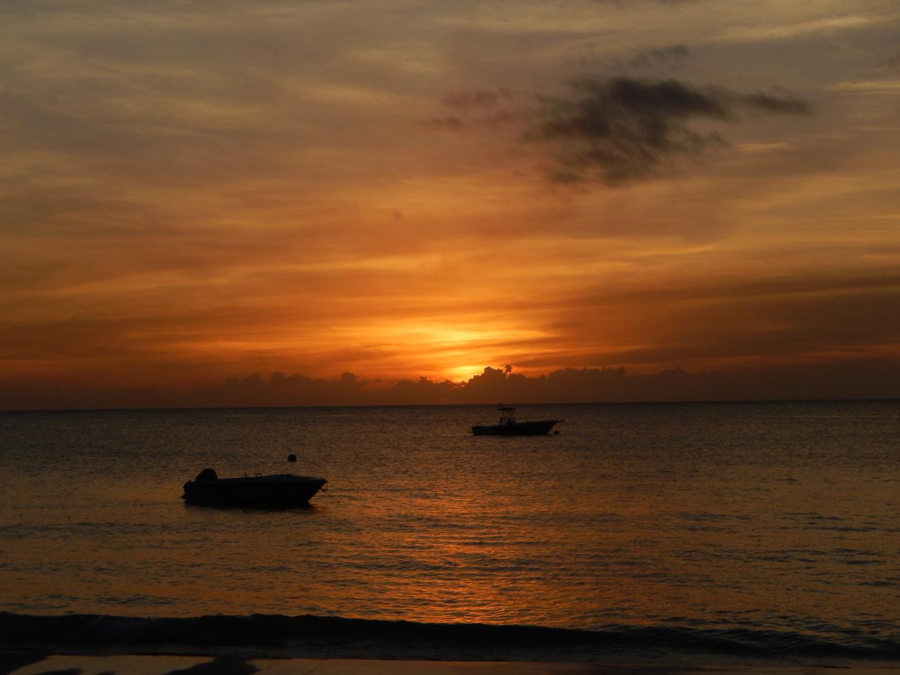 Name:  DSCN0831.jpg
Views: 742
Size:  87.7 KB