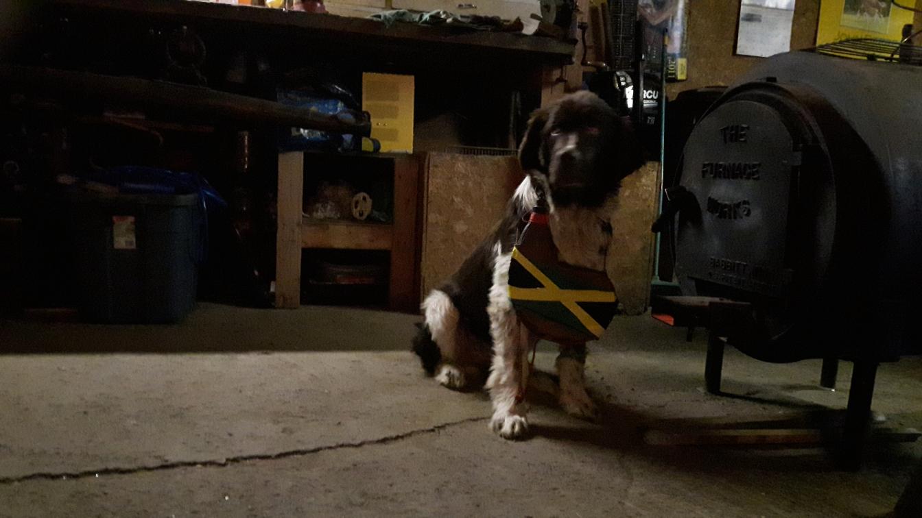 Name: 20161110_211705(1).jpg
Views: 409
Size: 94.8 KB