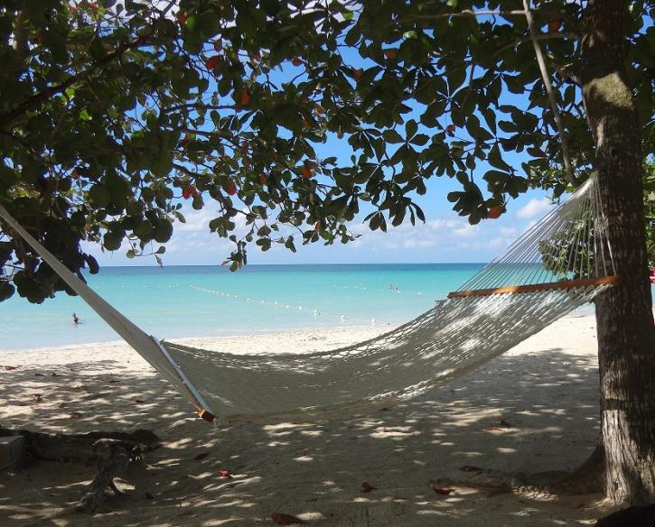 Name:  Hammock 2.jpg
Views: 648
Size:  99.5 KB