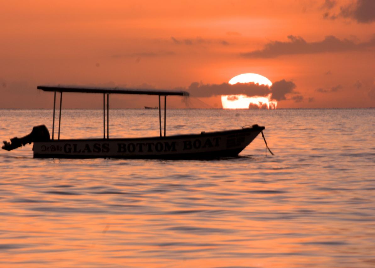 Name:  jamaica summer 2014 214.jpg
Views: 1150
Size:  84.8 KB
