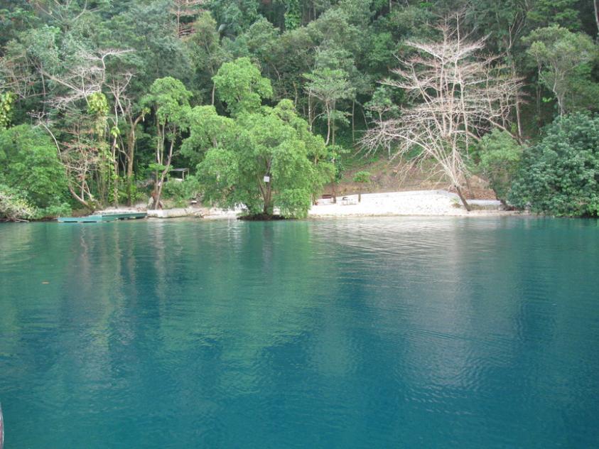 Name:  bl2.jpg
Views: 1316
Size:  96.6 KB