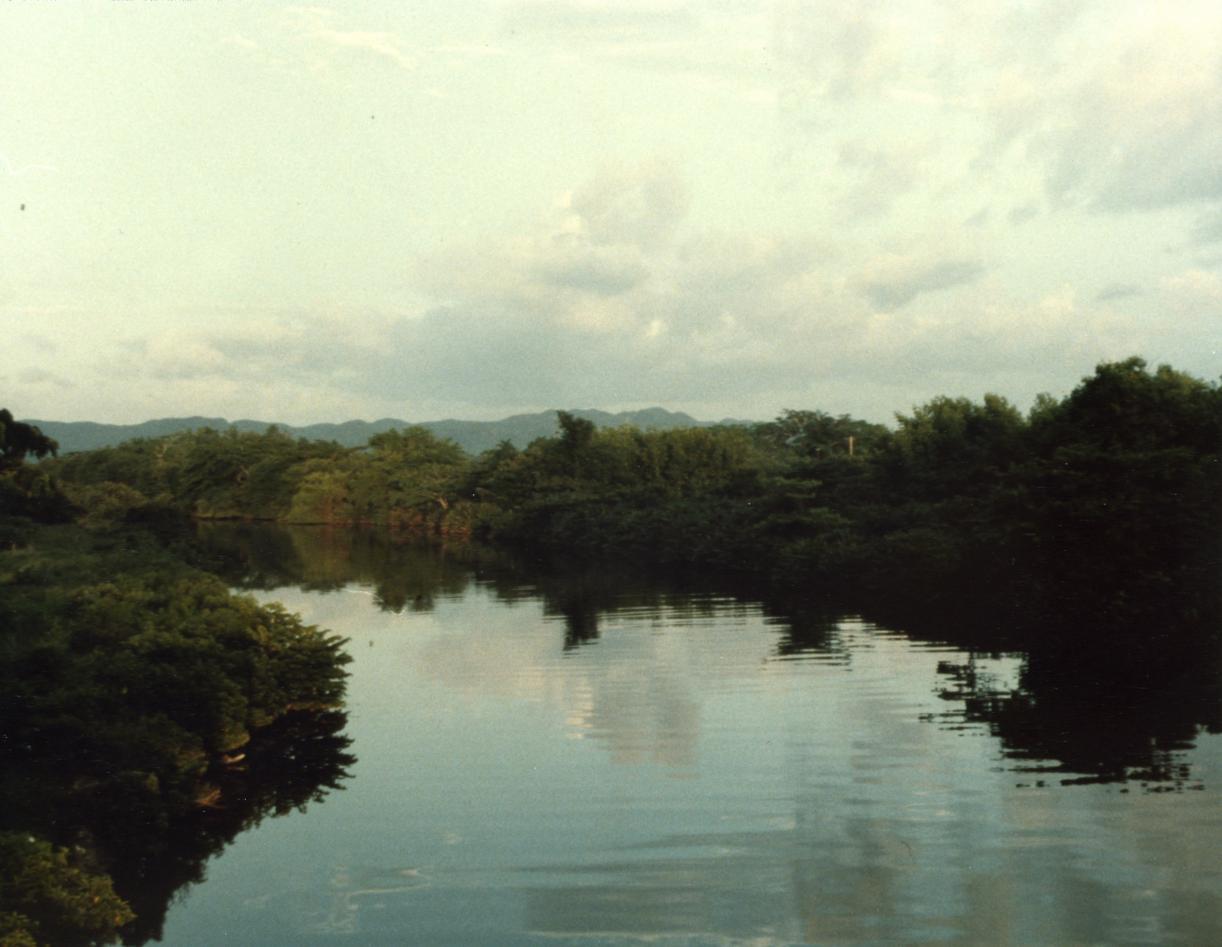 Name:  River.jpg
Views: 1160
Size:  91.8 KB