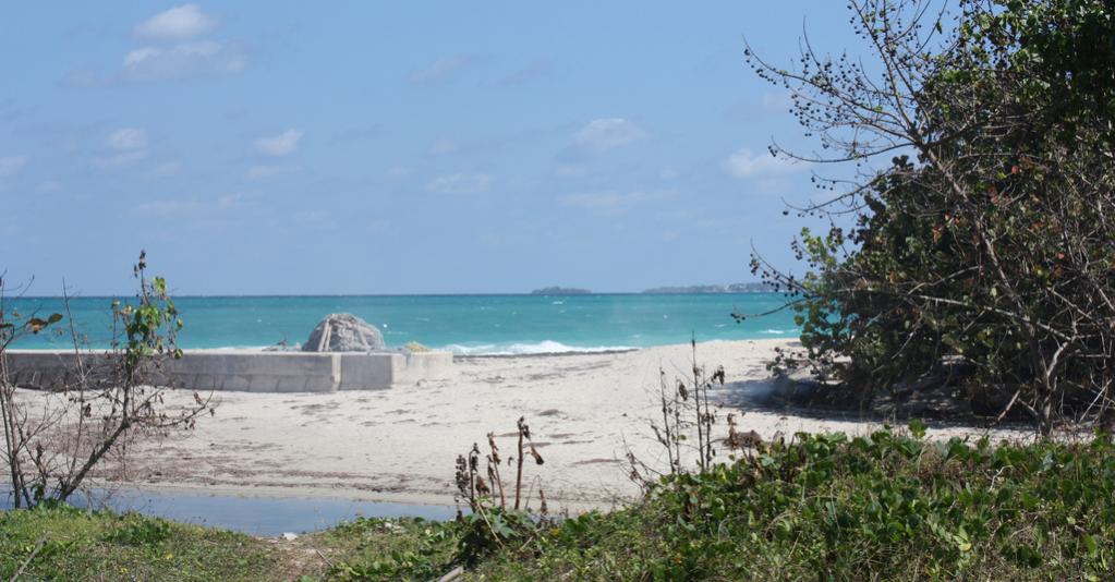 Name: 4480637681_a49a94ce40_b.jpg
Views: 308
Size: 90.9 KB