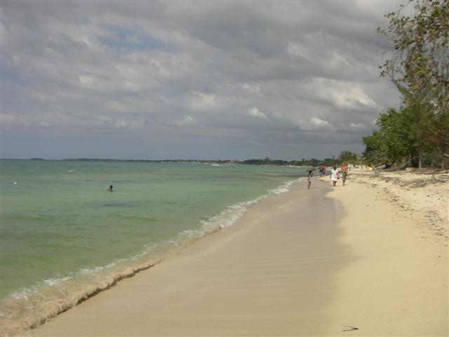 Name:  JamRock2009 053 (Small).jpg
Views: 528
Size:  33.1 KB