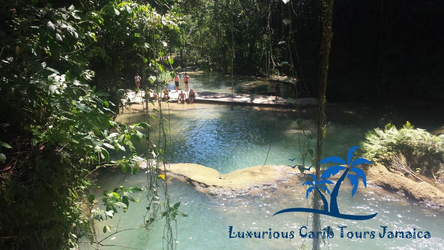 Name:  Natural Pool at YS falls Jamaica with LCTJ.jpg
Views: 311
Size:  100.4 KB