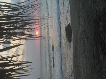 Name:  image.jpg
Views: 4604
Size:  19.2 KB
