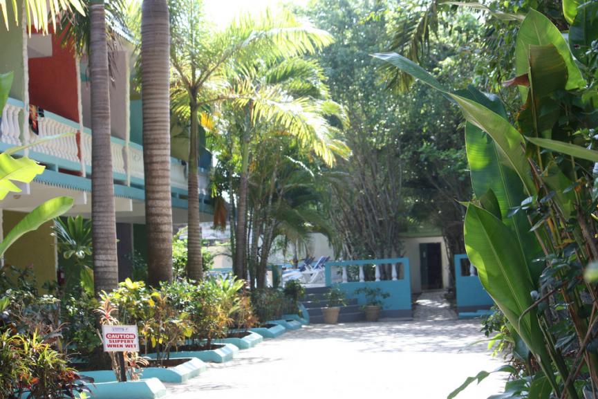 Name:  4480671575_b97a3476cd_b.jpg
Views: 721
Size:  101.0 KB