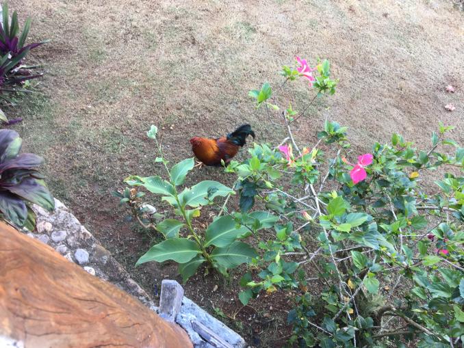Name:  image1.jpg
Views: 4818
Size:  99.3 KB