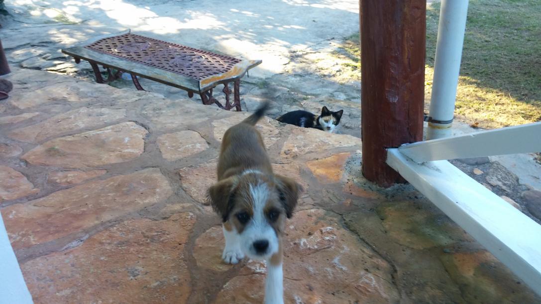 Name:  0224171614.jpg
Views: 4475
Size:  97.9 KB