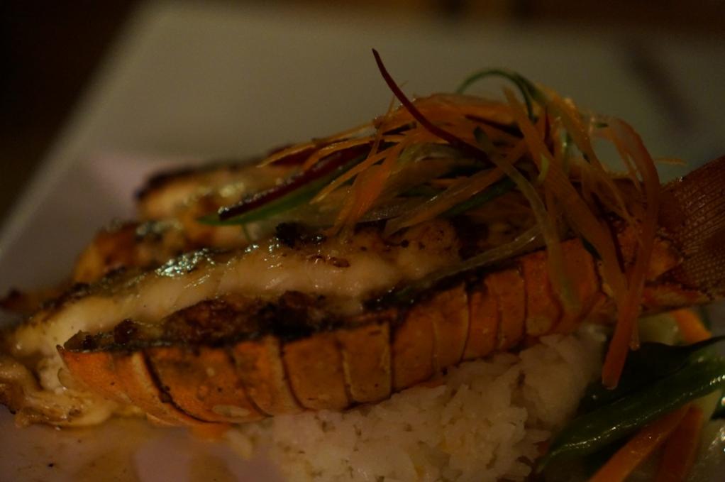 Name:  Lobsta.jpg
Views: 477
Size:  50.3 KB