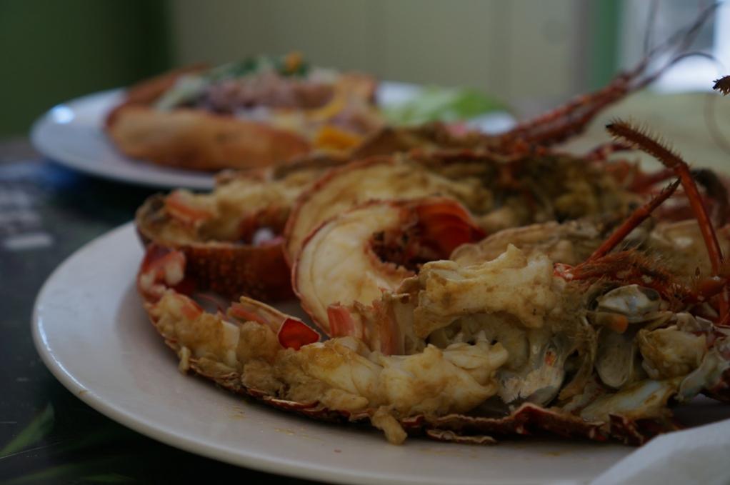 Name:  More Lobster.jpg
Views: 384
Size:  53.9 KB
