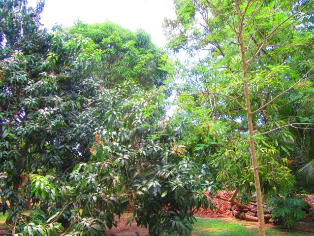 Name:  20170411131946.jpg
Views: 605
Size:  101.0 KB