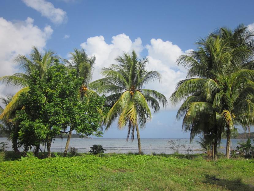 Name:  ld16.jpg
Views: 1214
Size:  96.8 KB