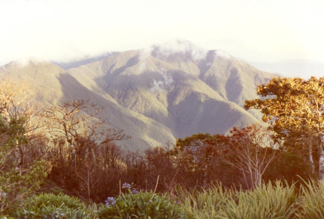 Name:  Blue Mountain Peak.jpg
Views: 307
Size:  92.2 KB