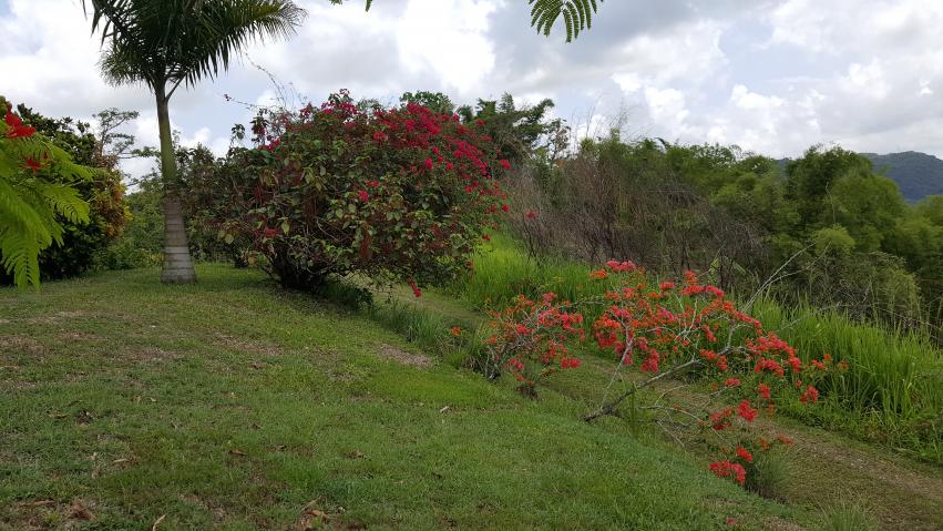 Name:  20170423_130746.jpg
Views: 552
Size:  94.0 KB