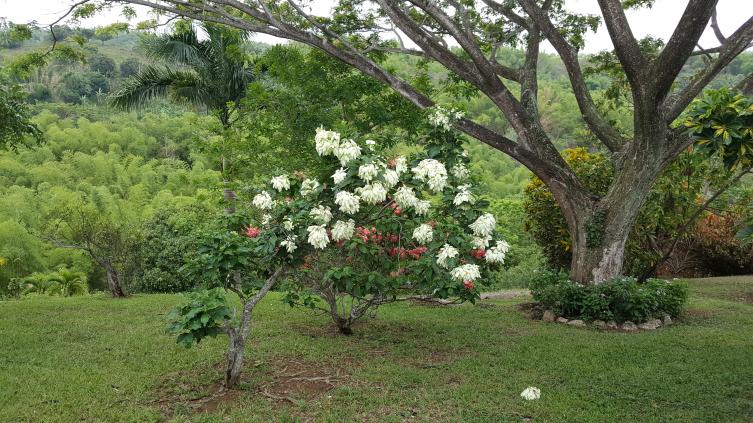 Name:  20170423_130813.jpg
Views: 564
Size:  95.6 KB