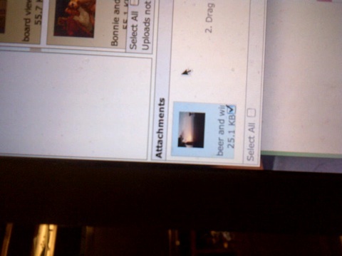 Name:  attachments to negril.com.jpg
Views: 770
Size:  38.3 KB