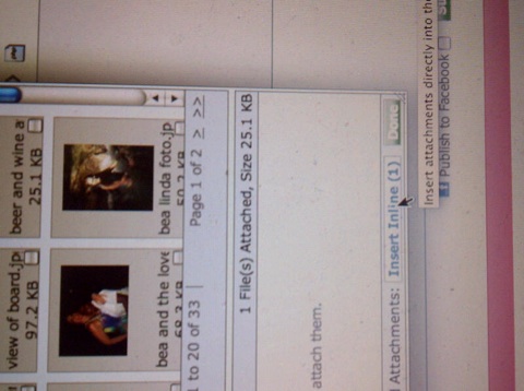 Name:  attachment 2 negril.com.jpg
Views: 701
Size:  52.3 KB