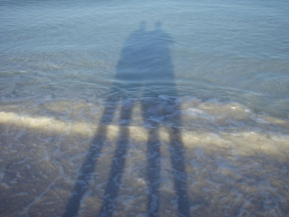 Name: P5030241.jpg
Views: 1066
Size: 88.2 KB