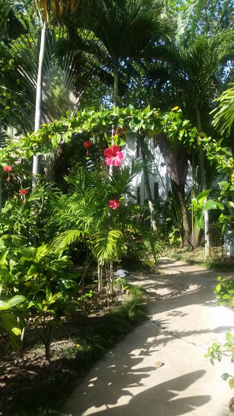 Name:  20170525_081139.jpg
Views: 525
Size:  104.9 KB