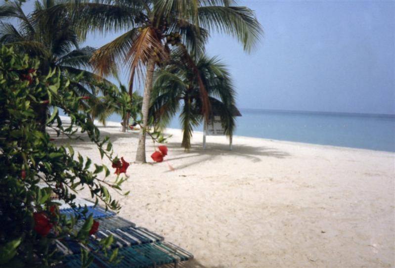 Name:  White Sand.jpg
Views: 1902
Size:  59.5 KB