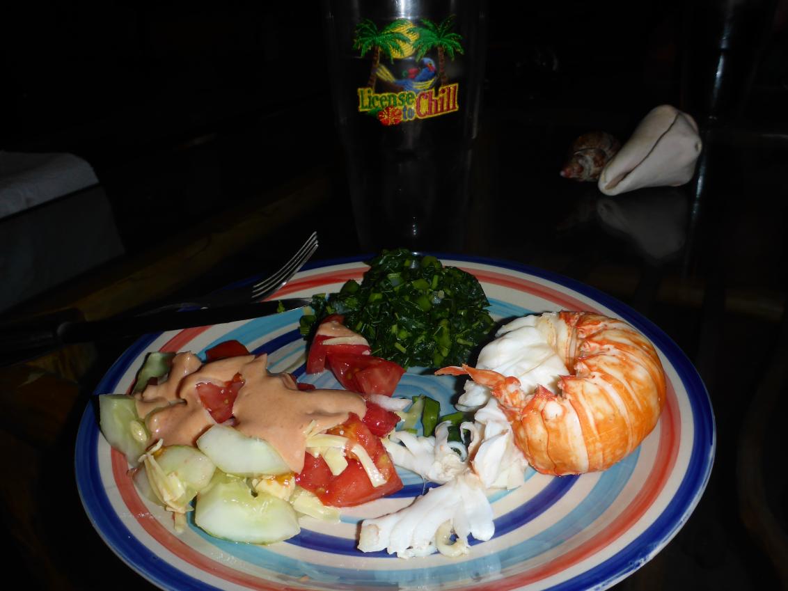 Name:  P1030169.jpg
Views: 483
Size:  84.4 KB
