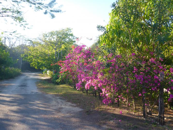 Name:  P1020937.jpg
Views: 477
Size:  98.1 KB