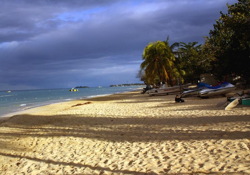 Name:  Good Morning.jpg
Views: 948
Size:  73.4 KB