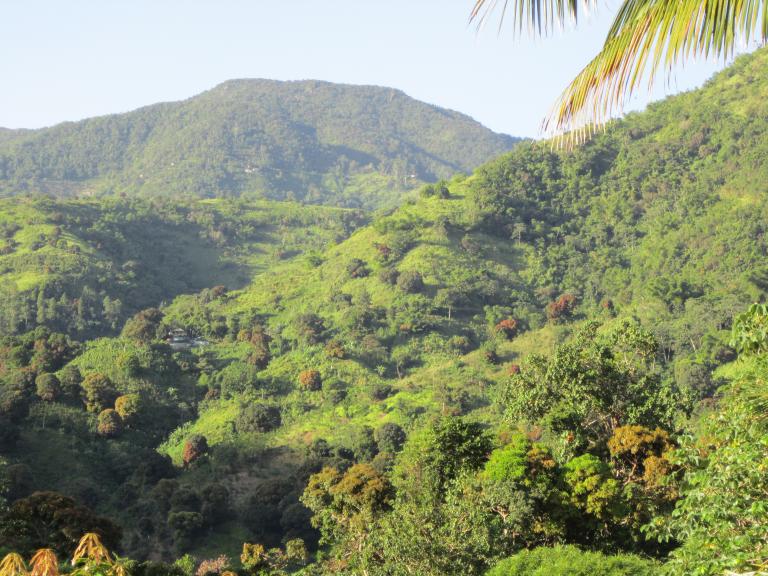Name:  Country Living.jpg
Views: 3321
Size:  97.7 KB