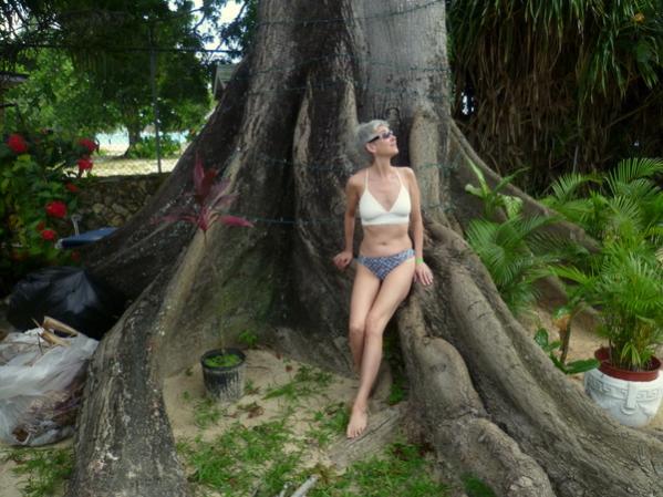 Name: P1040208.jpg
Views: 875
Size: 52.3 KB