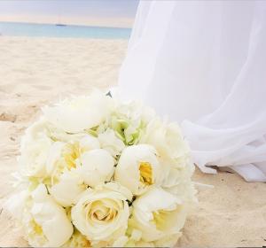 Name:  wed4.jpg
Views: 490
Size:  9.9 KB