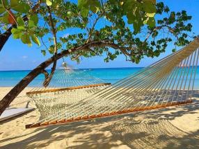 Name:  hammock.jpg
Views: 590
Size:  20.9 KB