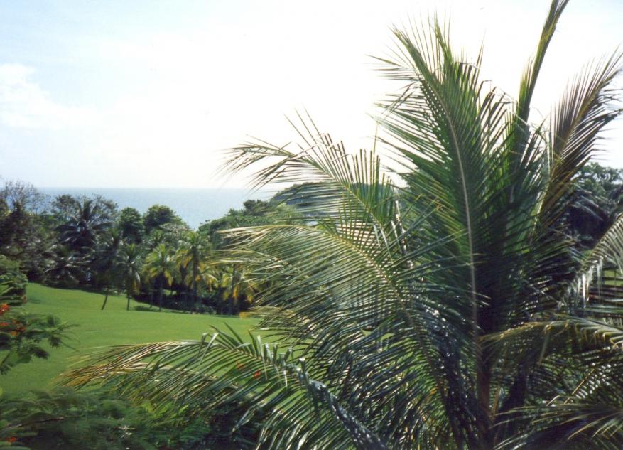 Name:  View from Goblim Hill.jpg
Views: 3960
Size:  96.8 KB