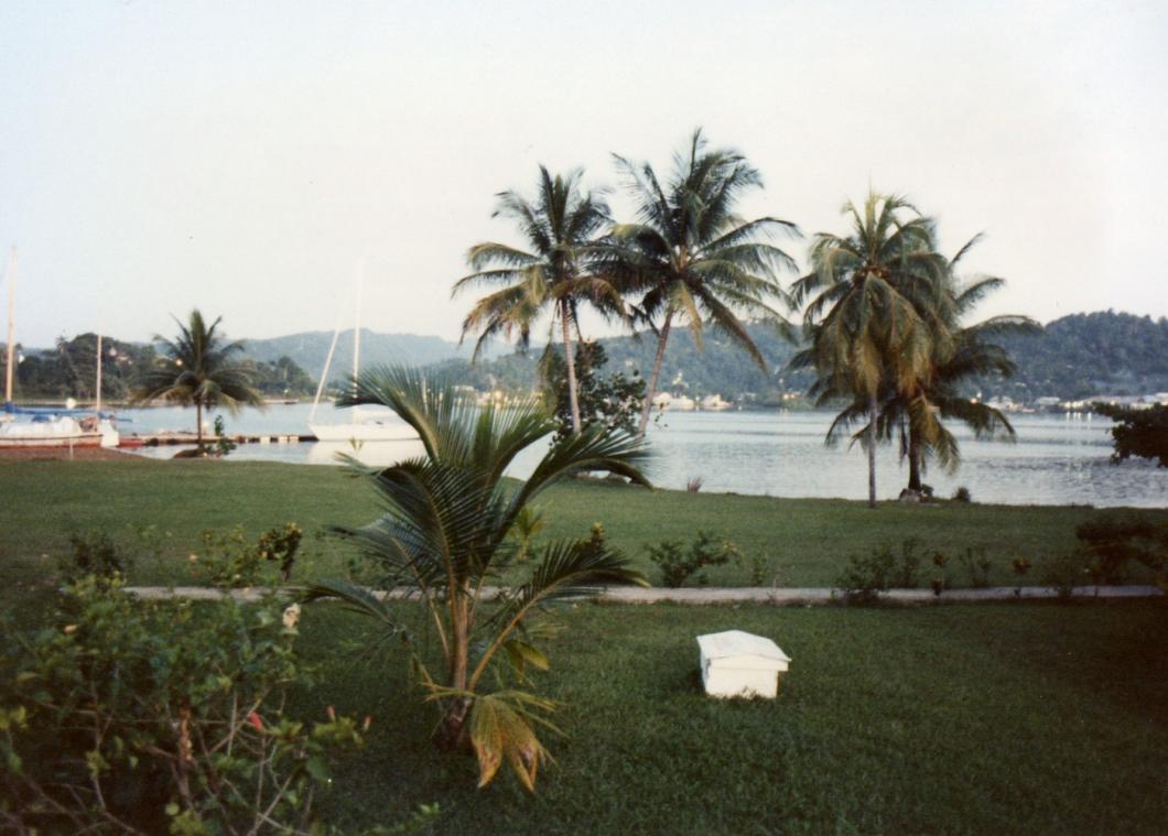 Name:  View from Navy Island.jpg
Views: 5005
Size:  91.8 KB