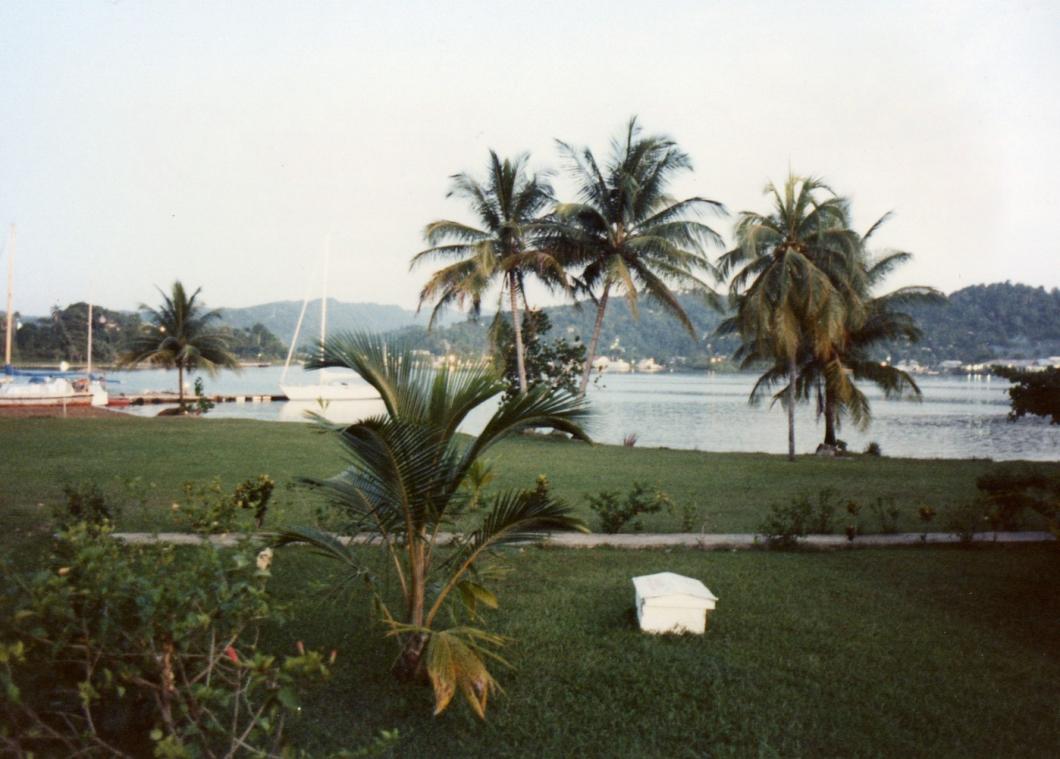 Name:  View from Navy Island.jpg
Views: 2371
Size:  91.8 KB