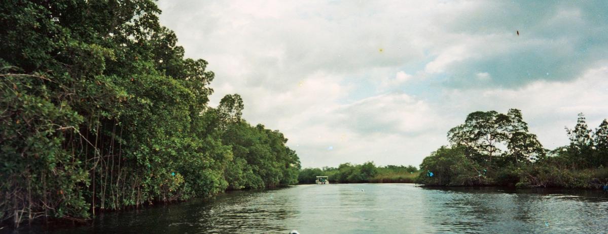 Name:  039bBRcruise1.jpg
Views: 491
Size:  87.5 KB