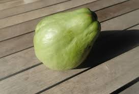 Name: imagesJIWDWHKR.jpg
Views: 1026
Size: 5.2 KB