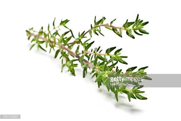 Name: 155125920.jpg
Views: 1030
Size: 24.2 KB