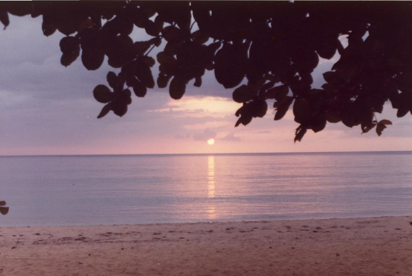 Name:  Beach Sundown.jpg
Views: 514
Size:  84.4 KB