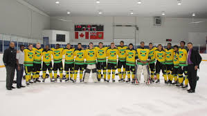 Name:  hockey.jpg
Views: 315
Size:  12.4 KB