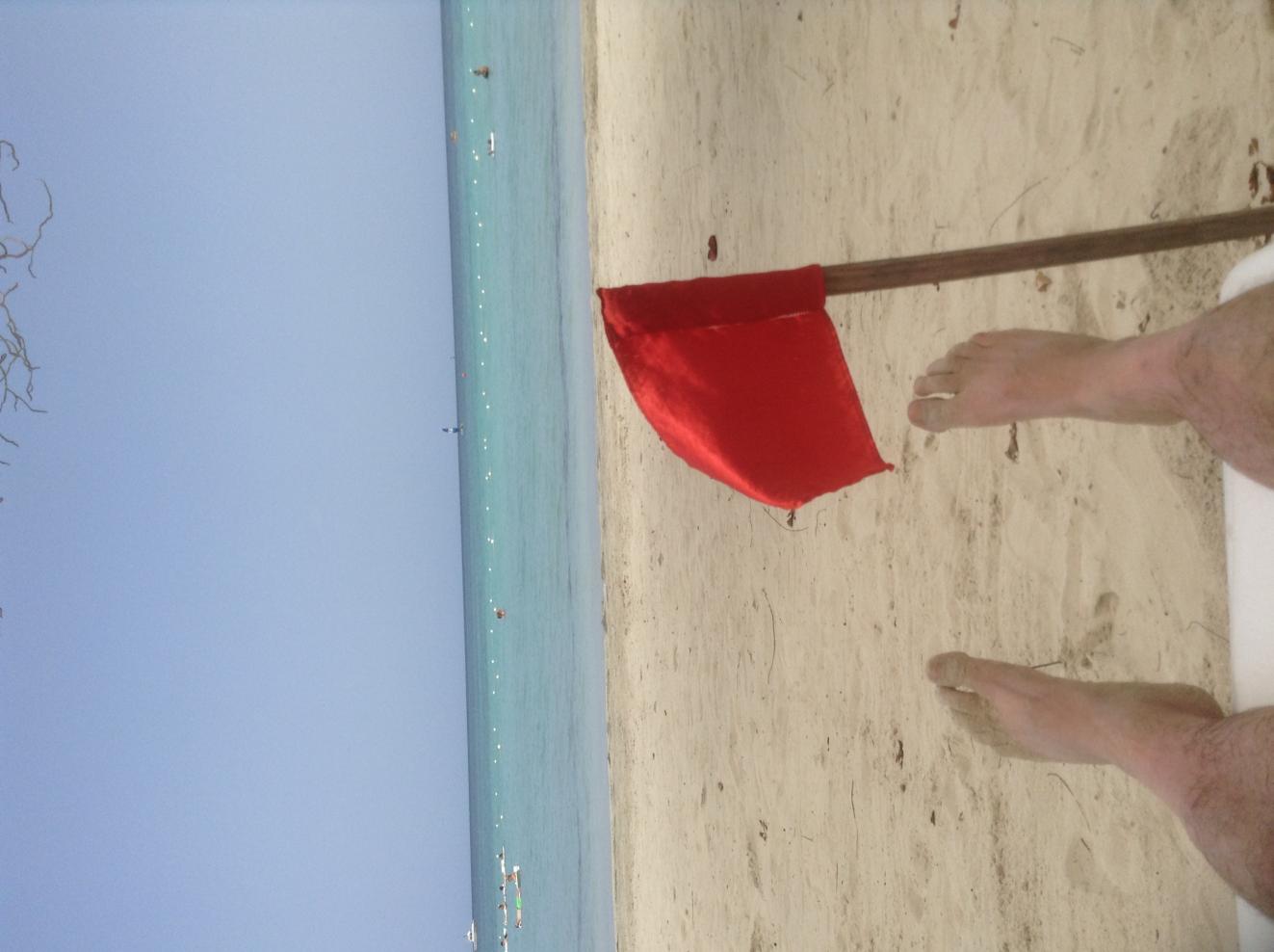 Name:  IMG_0337.jpg
Views: 1650
Size:  91.0 KB