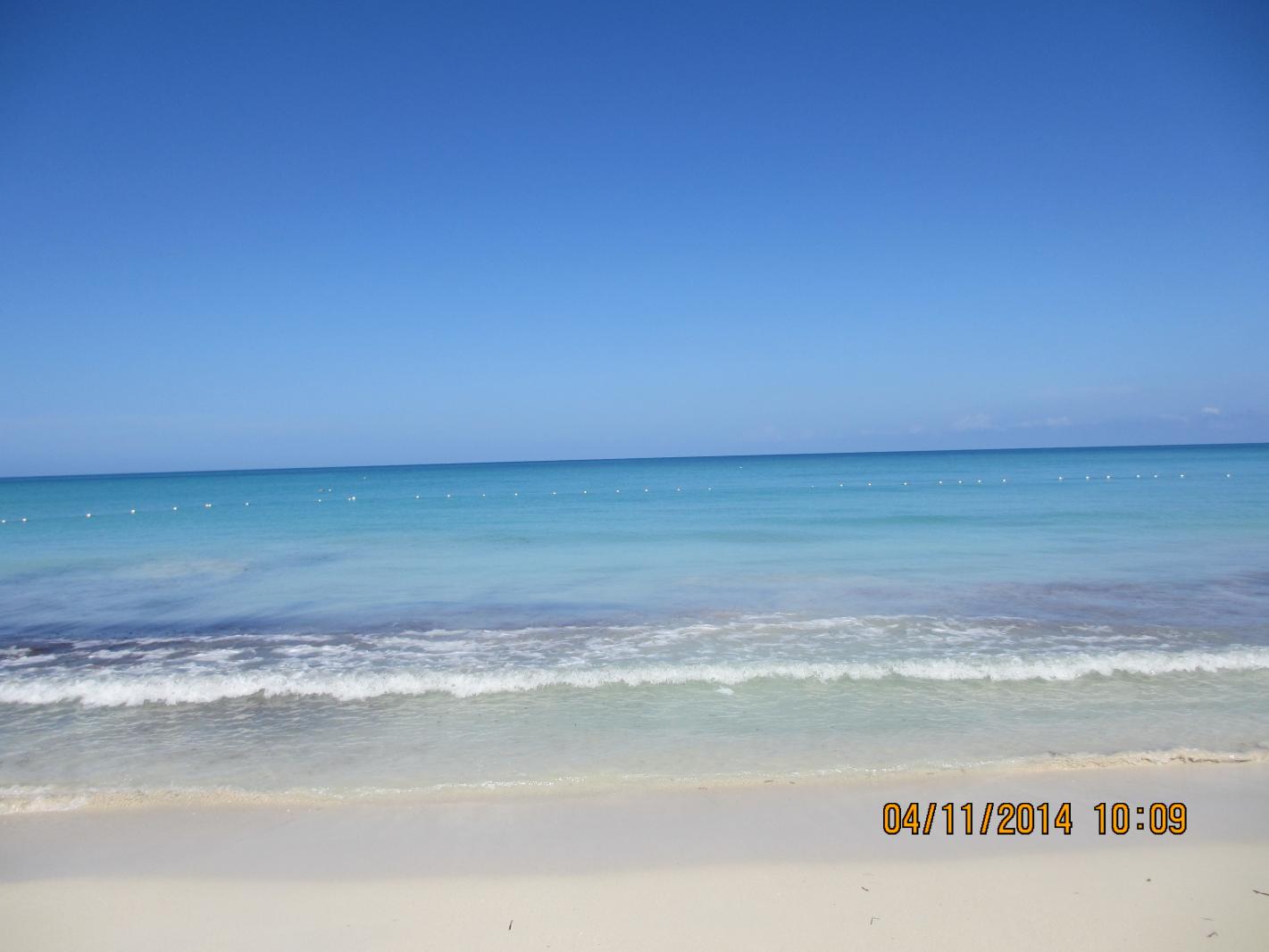 Name: IMG_0572.jpg
Views: 1632
Size: 85.7 KB