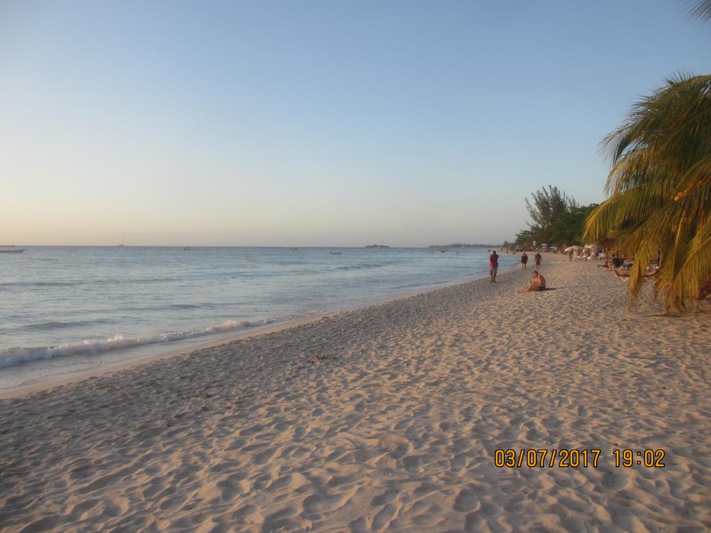 Name:  026.jpg
Views: 1510
Size:  91.3 KB