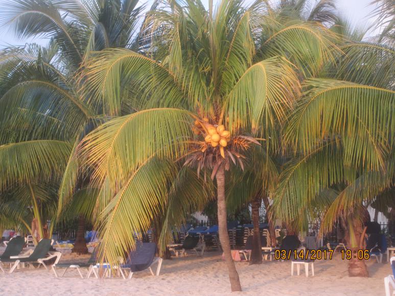 Name:  061.jpg
Views: 1418
Size:  98.8 KB