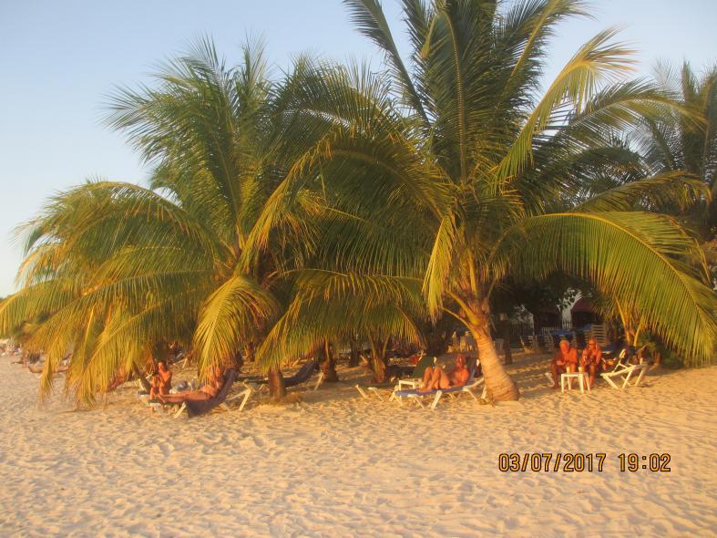 Name:  027.jpg
Views: 1135
Size:  97.5 KB
