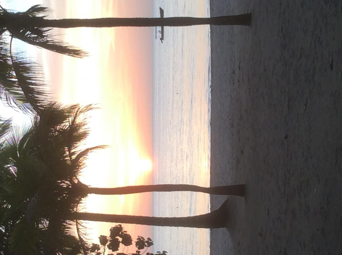 Name: IMG_0606.jpg
Views: 1144
Size: 85.2 KB