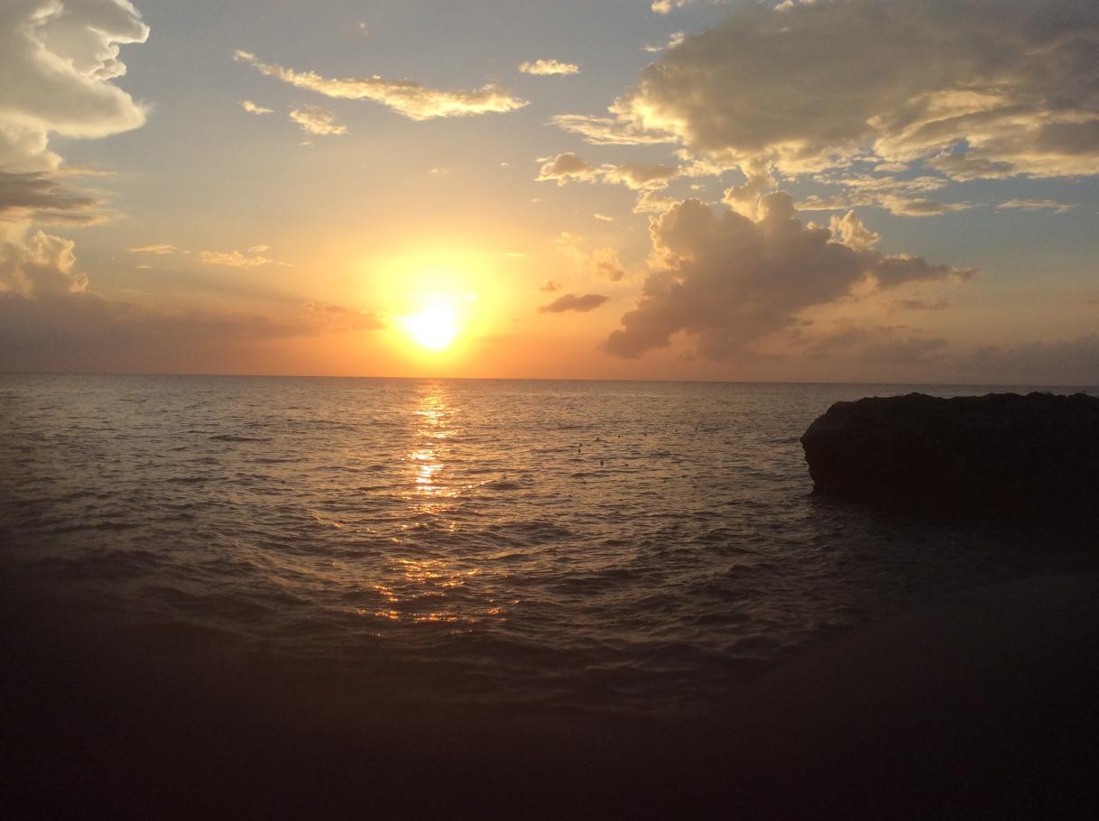 Name:  IMG_0564.jpg
Views: 1169
Size:  90.9 KB