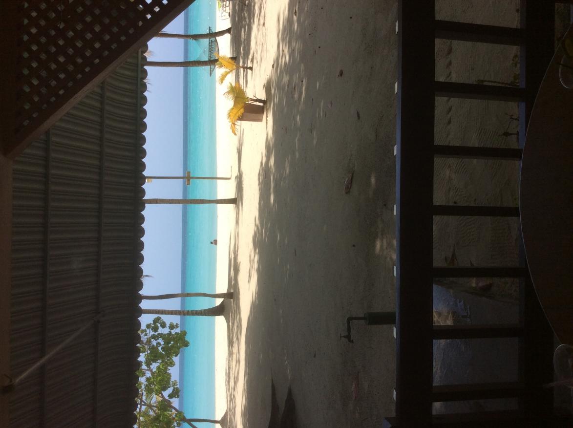 Name:  IMG_0593.jpg
Views: 1151
Size:  89.7 KB