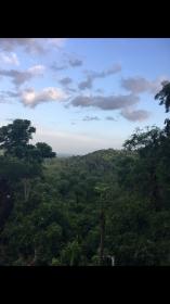 Name:  IMG_1613.jpg
Views: 442
Size:  6.2 KB