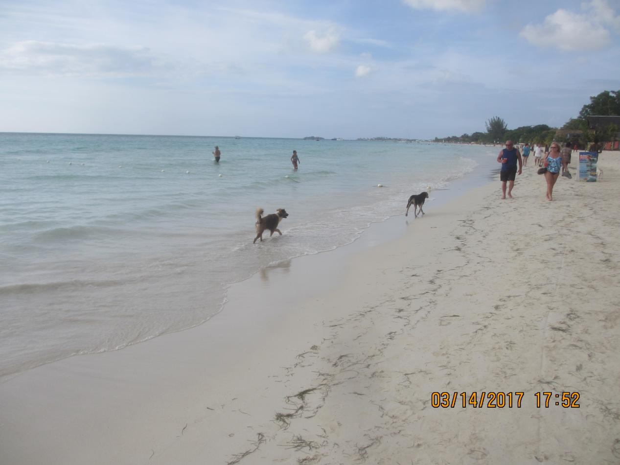Name:  056.jpg
Views: 1119
Size:  86.8 KB